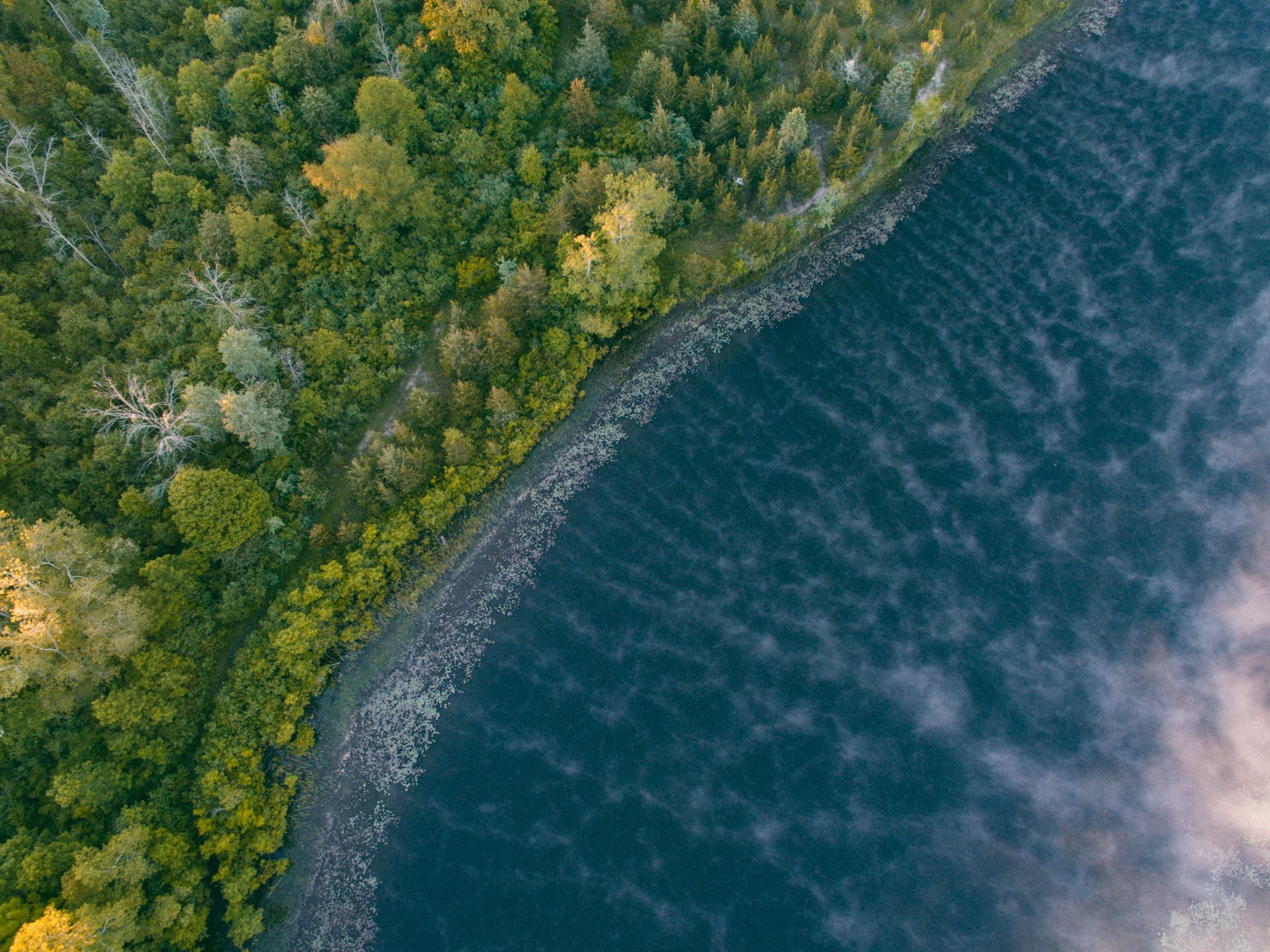 aaron-burden-KhVfJhHla78-unsplash (1)