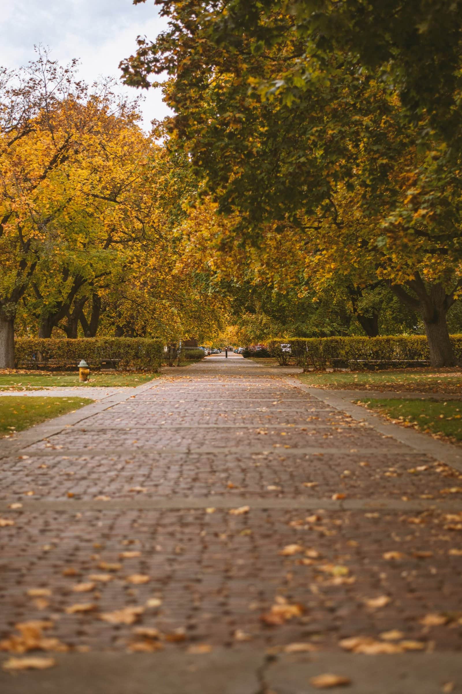 steven-cordes-ZUgd5eS1NSQ-unsplash (1)